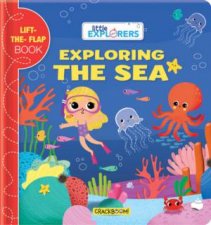 Little Explorers Exploring The Sea