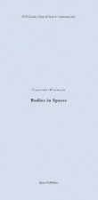 Bodies In Spaces