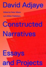 David Adjaye Constructed Narratives Essays And Projects