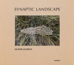 Synaptic Landscape Oliver Ullrich