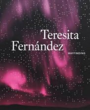 Teresita Fernandez Wayfinding