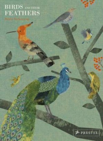 Birds And Their Feathers by Britta Teckentrup