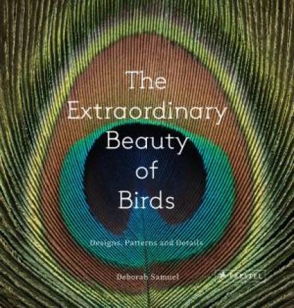 Extraordinary Beauty of Birds by SAMUEL / PECK