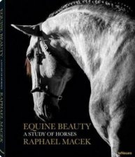 Equine Beauty A Study of Horses