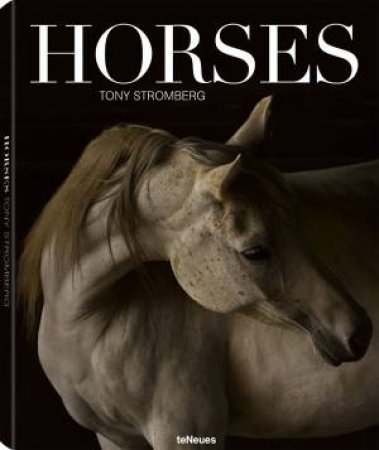 Horses by Tony Stromberg