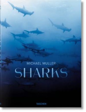 Sharks by Michael Muller