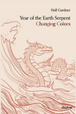 Year of the Earth Dragon Changing Colors a Novel an Antimarco Polo Voyage to Cathay