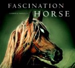 Facination Horse