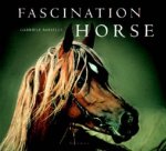 Facination Horse