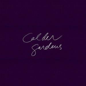 Calder Gardens: Drawings and Texts by Jacques Herzog by Jacques Herzog