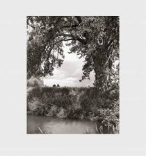 Robert Adams Cottonwoods