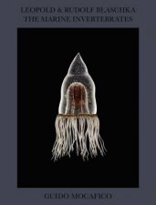 Guido Mocafico Leopold  Rudolf Blaschka The Marine Invertebrates
