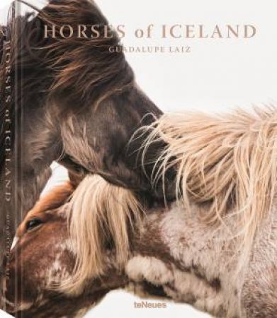 Horses Of Iceland by Guadalupe Luiz