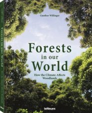 Forests In Our World How The Climate Affects Woodlands
