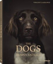 Dogs Human Animals