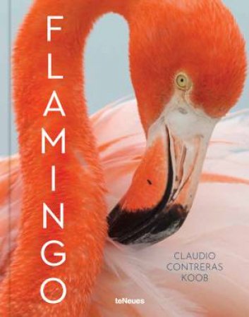 Flamingo by Claudio Contreras Koob