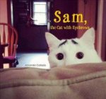Sam The Cat With Eyebrows