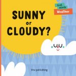 Sunny Or Cloudy