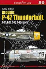 Republic P47 Thunderbolt D25 D27 D30 D40 Models