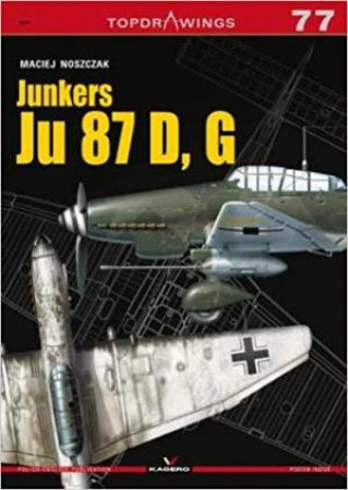 Junkers Ju 87 D, G by Maciej Noszczak