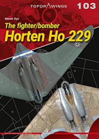 Fighter/Bomber Horten Ho 229 by Marek Rys