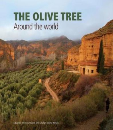 Olive Tree: Around the World by CHARLES QUEST-RITSON