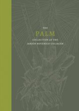 The Palm Collection At The Jardin Botanico Culiacan
