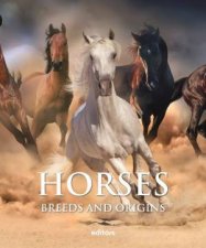 Horses Breeds And Origins