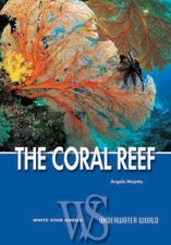 Coral Reef White Star Guides