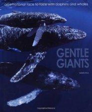 Gentle Giants an Emotional Face to Face With Dolphins and Whales