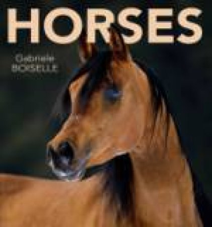 Horses by Gabrielle Boiselle
