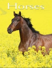 Horses Pocket Book