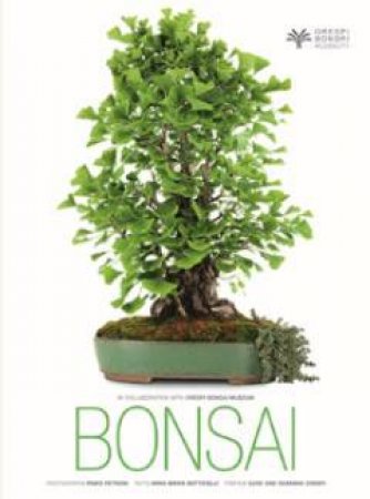 Bonsai by BOTTICELLI ANNA MARIA