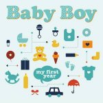 Baby Boy My First Year
