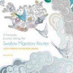 Fantastic Journey Along the Swallows Migratory Routes