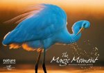 Magic Moment Extraordinary Photographs of Nature