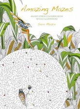 Amazing Mazes An AntiStress Coloring Book With 60 Illustrations