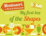 Montessori A World Of Achievements My First Box Of Shapes