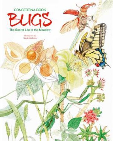 Bugs: The Secret Life Of The Meadow by Margherita Borin