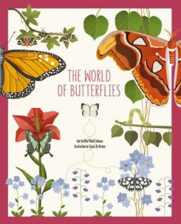 The World Of Butterflies