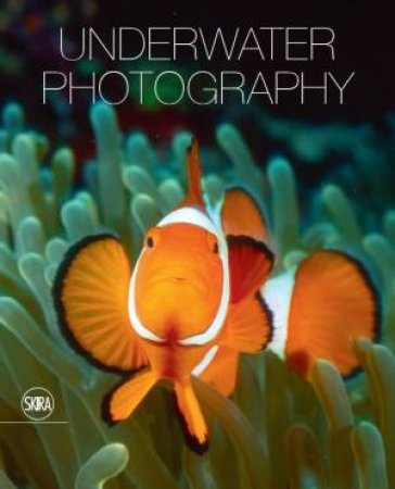 Underwater Photography by Vincenzo Paolillo