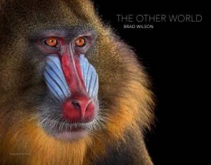 The Other World: Animal Portraits by Brad Wilson & Dan Flores