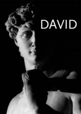 David Michelangelo