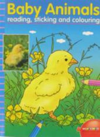 Baby Animal: Reading, Sticking & Colouring by Unknown