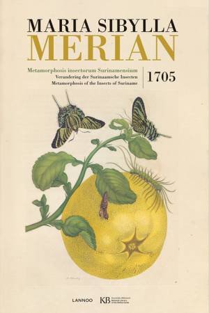 Metamorphosis Insectorum Surinamensium by Maria Sibylla Merian