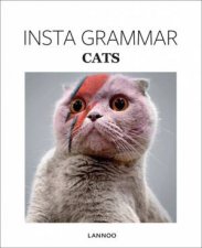 Insta Grammar Cats