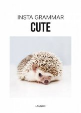 Insta Grammar Cute