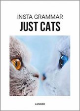 Insta Grammar Just Cats