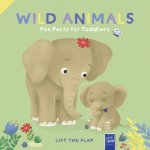 Lift The Flap  Fun Fact For Toddlers Wild Animals