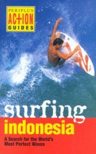 Action Guides Surfing Indonesia